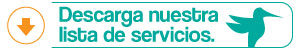 descarga servicios